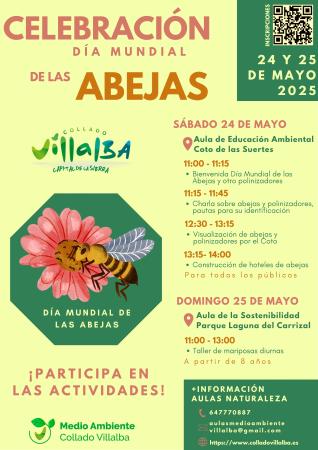 Vista en miniatura