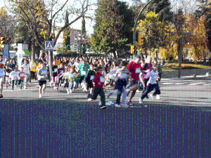 Vista en miniatura