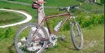Imagen Día de la Bicicleta
