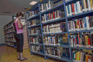Vista en miniatura
