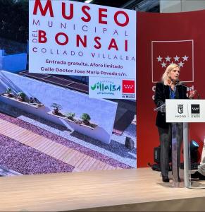 Vista en miniatura
