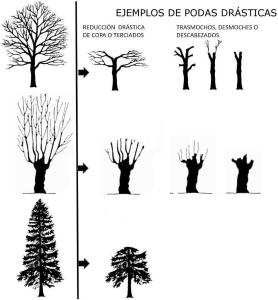 Vista en miniatura