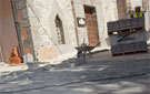 Visita a las obras