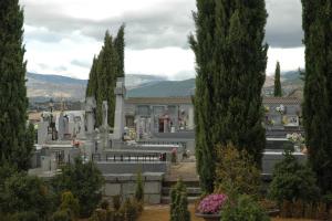 Vista en miniatura
