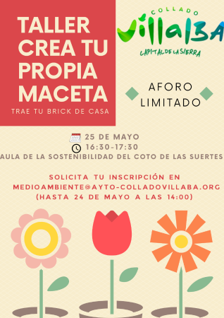 Taller:  Crea tu propia maceta