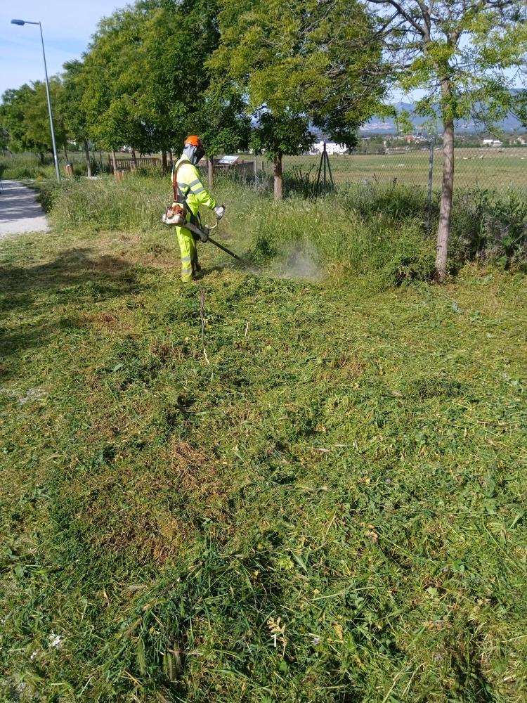 Imagen El Ayuntamiento desbroza un millón de metros cuadrados para prevenir los incendios en verano