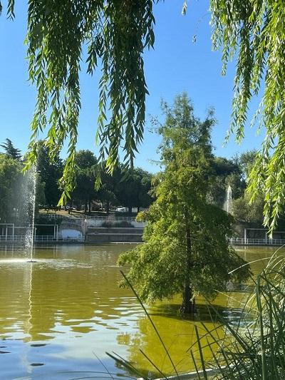 Imagen La Laguna del Carrizal cuenta con dos nuevos géiseres flotantes de 6 metros de altura