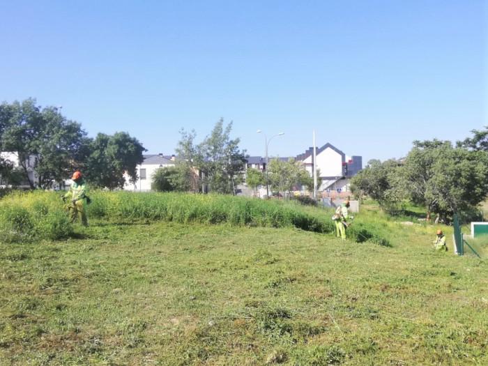 Imagen El Ayuntamiento de Collado Villalba ha desbrozado ya el 80 por ciento de su término municipal