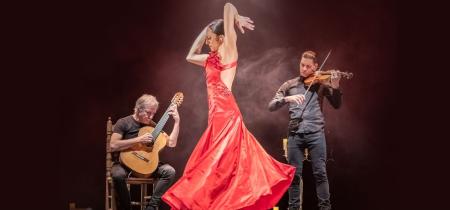 tango y flamenco