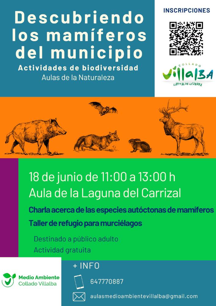 Imagen Curso ‘Descubriendo los mamíferos del municipio’