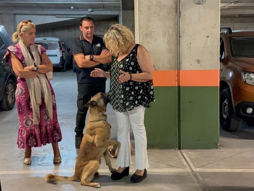 Imagen Collado Villalba, escenario del entrenamiento especial de unidades caninas llegadas de toda España