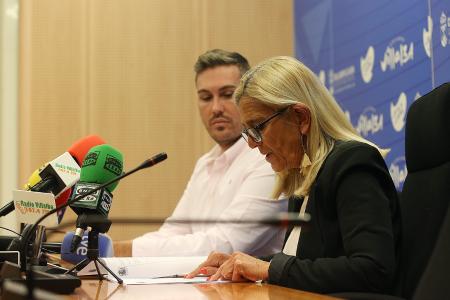 Imagen La Justicia da la razón al Ayuntamiento de Collado Villalba:  el mantenimiento del Puente de la Estación es competencia de Adif