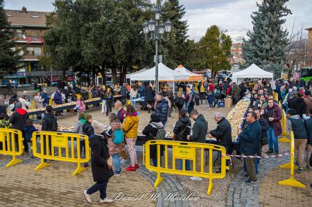 Imagen El Roscón Gigante Solidario 2026 recauda más de 1.000 euros a favor de Apascovi