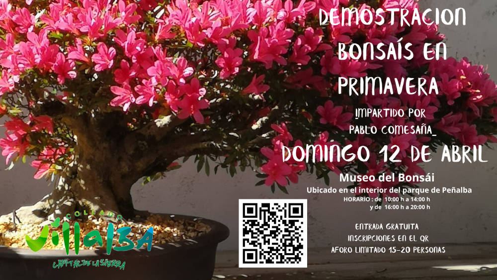 Imagen Demostración bonsáis en primavera