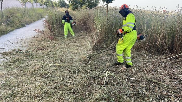 Imagen El Ayuntamiento inicia la campaña de desbroce en el término municipal con el fin de minimizar el riesgo por incendios forestales