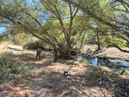 Imagen Los trabajos silvícolas en el río Guadarrama se ampliarán hasta la línea de ferrocarril Villalba-Segovia
