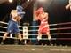 Imagen La Selección de Madrid dominó en la Velada de Boxeo