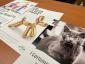 Imagen ‘Villalba Adopta’:  una iniciativa del Ayuntamiento de Collado Villalba para promover el buen trato, la tenencia responsable y la adopción de animales