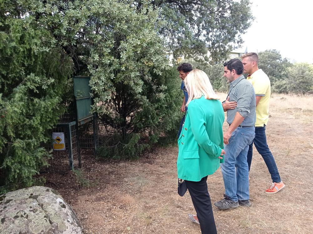 Imagen Éxito del Programa de control de la población de jabalíes en Collado Villalba