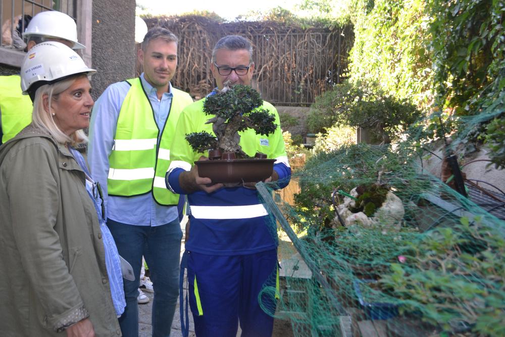 Imagen Collado Villalba contará con el Museo del bonsái, único en la comarca